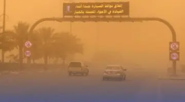رياح متوقعة وأمطار رعدية في الرياض والمدينة والشرقية